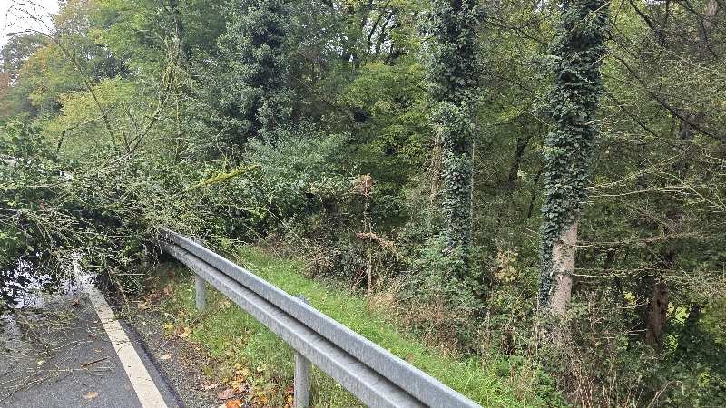 Einsatzfoto Baum auf Fahrbahn